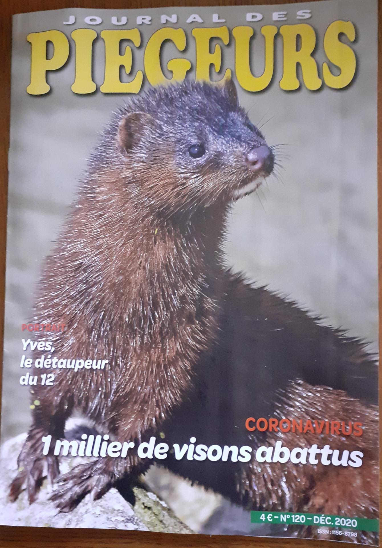 Jdp decembre